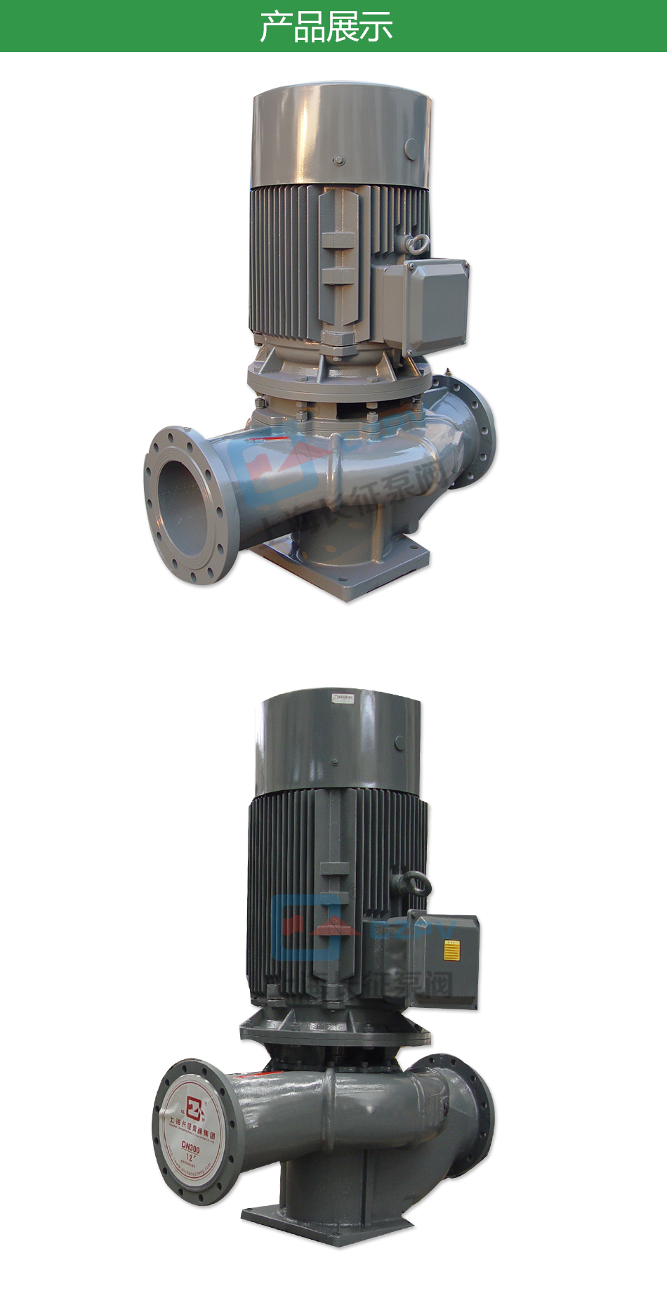 LTP立式高效节能循环水泵产品展示图片