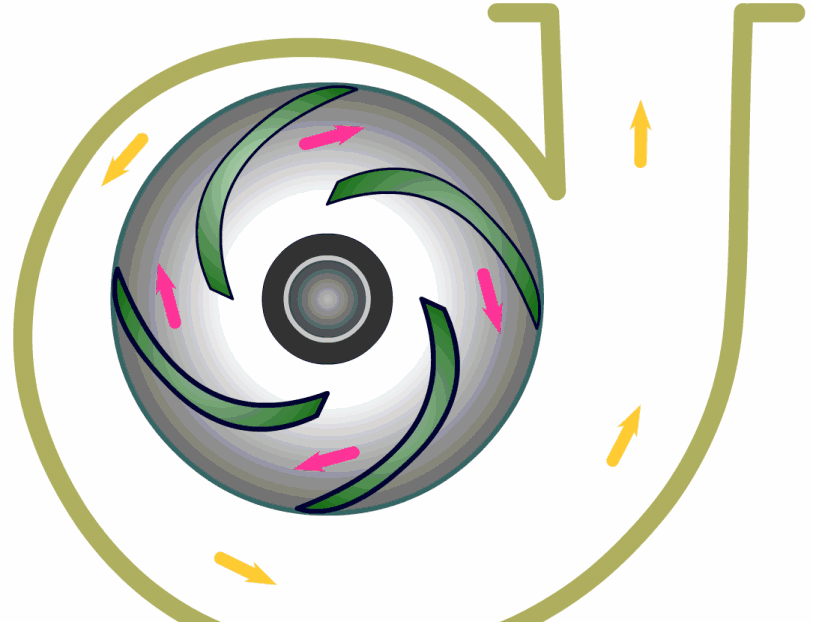 离心泵基本结构动图演示