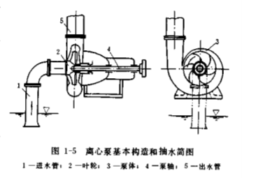 离心泵基本构造