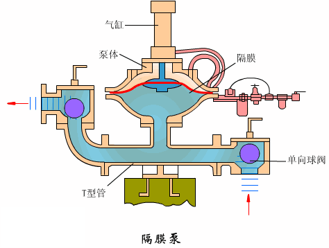 隔膜泵的工作原理图