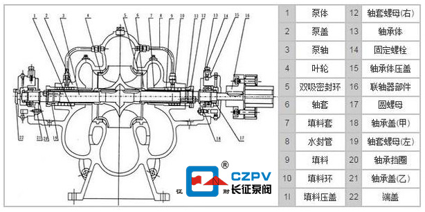 卧式单级双吸离心泵结构图