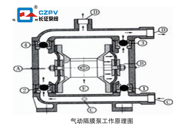 单向气动隔膜泵的工作原理图