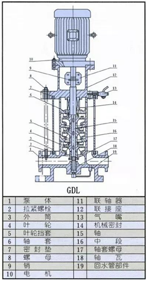 循环水泵结构图