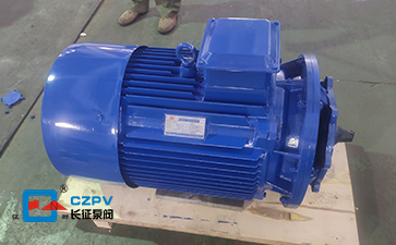 循环水泵离心泵电机