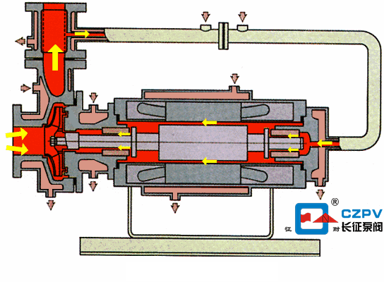 热水循环泵工作原理动图