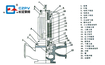 屏蔽泵的结构图