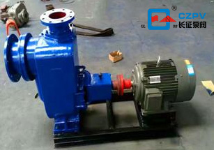卧式自吸离心泵