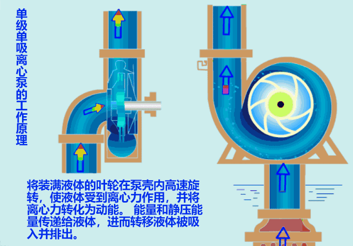 离心泵原理动图