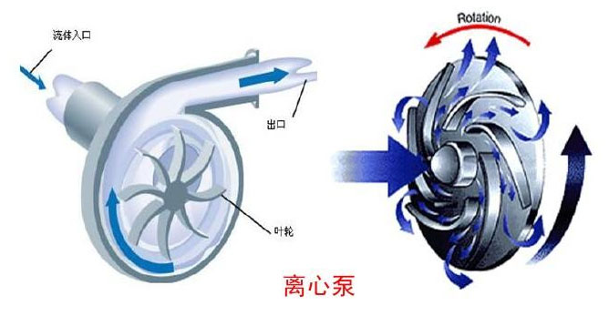 离心泵属于叶片泵的一种