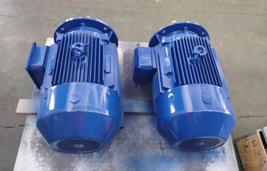 高低温循环泵电机