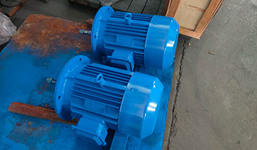 循环水泵电机