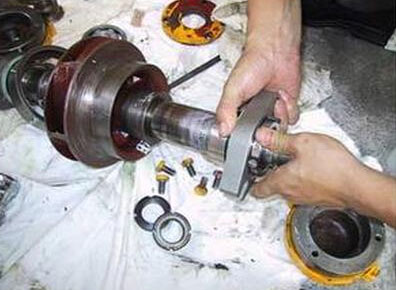 多级离心泵更换机械密封图