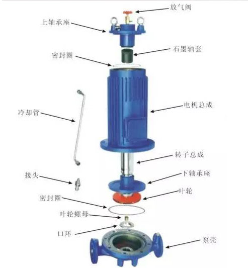 屏蔽泵的结构图