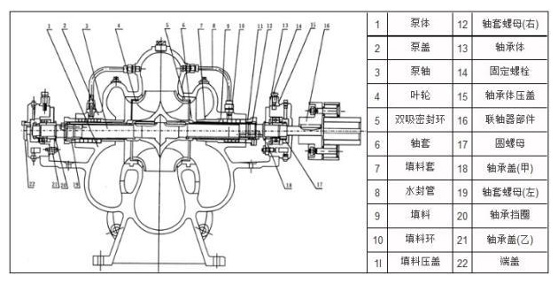 立式双吸泵结构图