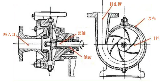 离心泵构造图