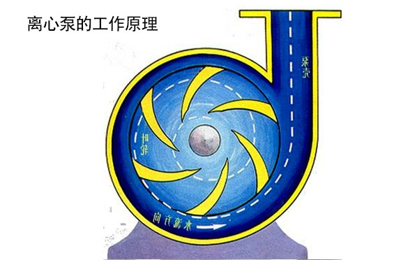 离心泵工作原理图