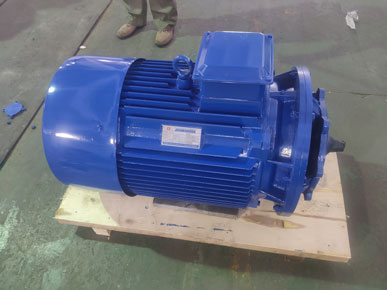 高低温循环泵电机