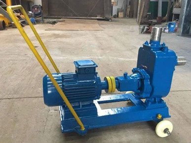 不锈钢自吸泵维护与拆装