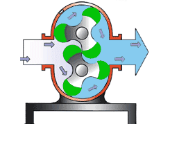 转子泵的工作原理