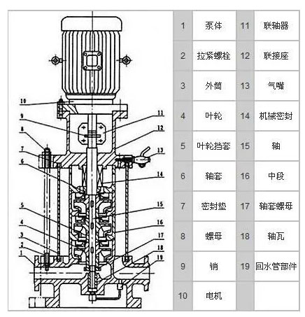 DL立式多级增压泵的结构图